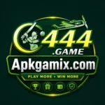 C444 Game