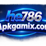 HE786 Game